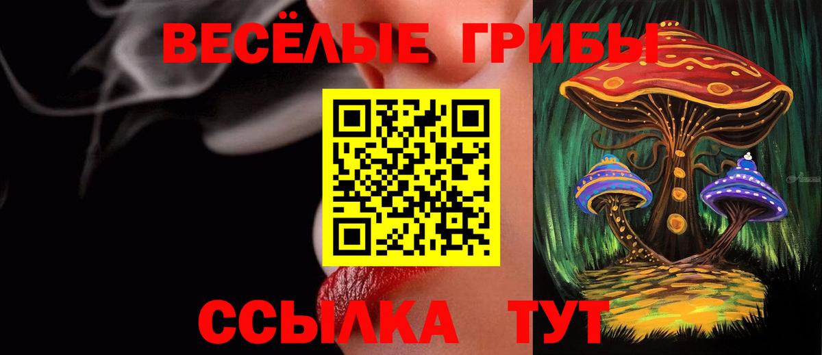 Псилоцибиновые грибы мухоморы Нижнеудинск